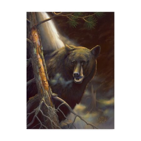 Trademark Fine Art